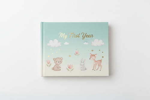 Baby memory book with teal, blue and cream hardcover, gold foil title, delicate illustrated design