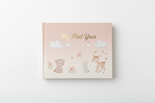 Baby memory book with blush pink and cream hardcover, gold foil title, delicate illustrated design